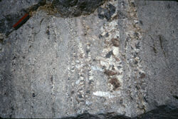 Photo of sample